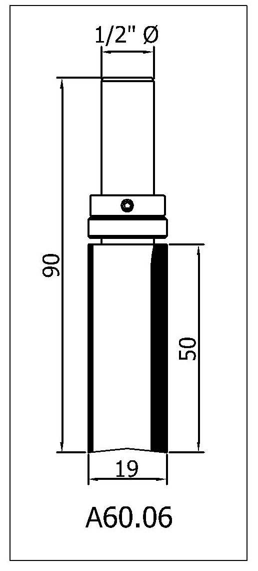 A60 06 DIMS
