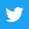 Twitter Logo 29